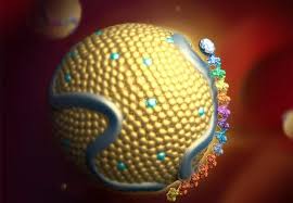 Order Lipoprotein A testing